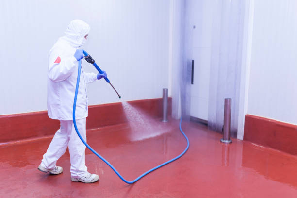 Best Sidewalk and Walkway Cleaning  in Rome, GA